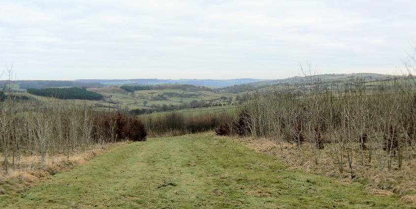 Towards Stanton Moor Towards Stanton Moor